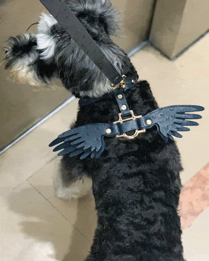 Angel Wings Strap Pet Leash SD00272 - SYNDROME - Cute Kawaii Harajuku Street Fashion Store