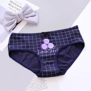 Card Captor Cosplay Underwear Anime Panties Kawaii Girl Women Kinomoto  Sakura Briefs Intimate Panties Cotton Underpants Gift
